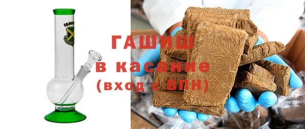 гидра Вяземский