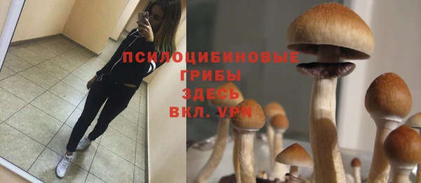 трава Володарск