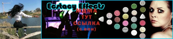 гидра Вяземский