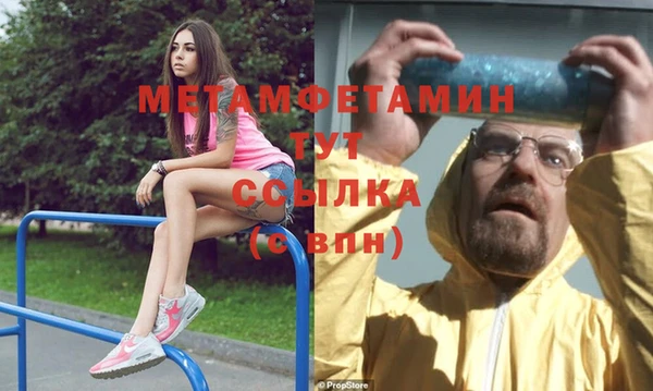 гидра Вяземский