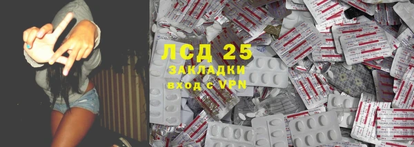 прущие грибы Бородино